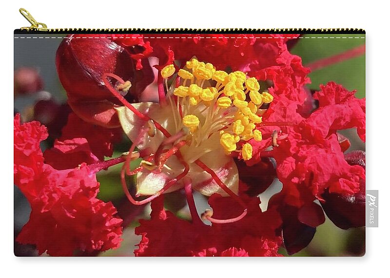Crape Myrtle Zip Pouch featuring the photograph Collaboration #1 by Shannon Grissom