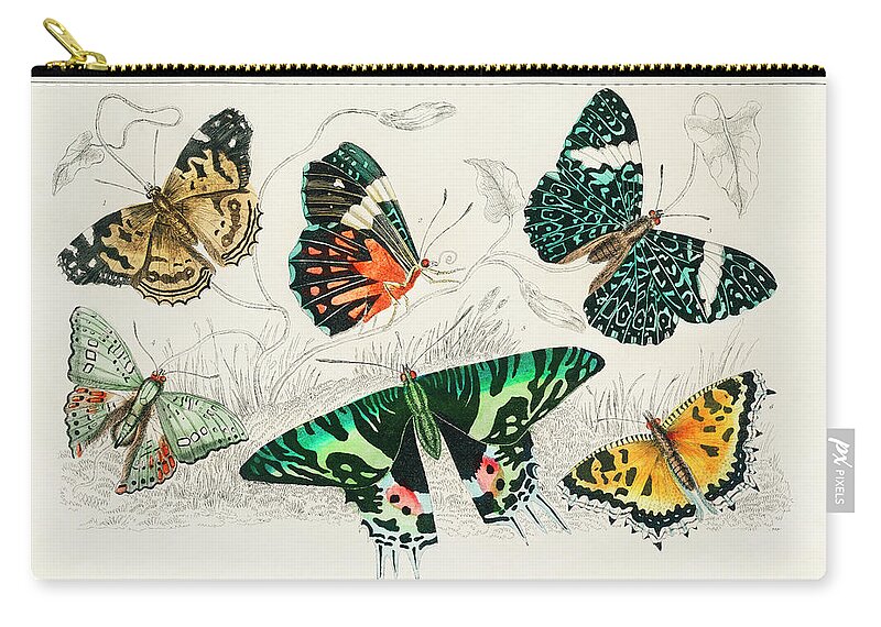 Vintage Print Zip Pouch featuring the painting Collection of Various Butterflies #1 by World Art Collective