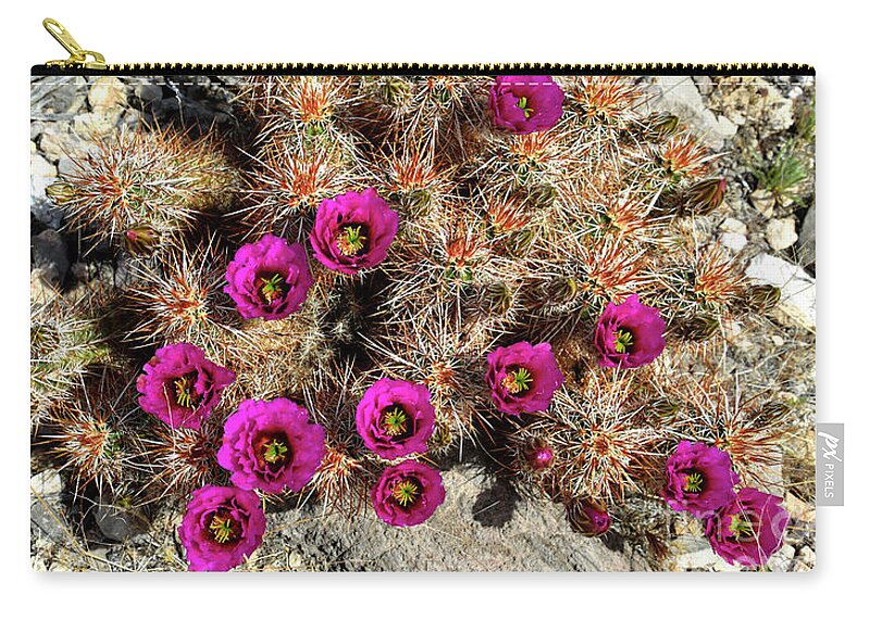 Denise Bruchman Photography Zip Pouch featuring the photograph Desert Bouquet #1 by Denise Bruchman