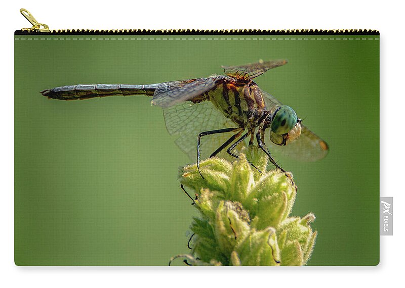 Insect Zip Pouch featuring the photograph Dragon Fly #1 by Cathy Kovarik