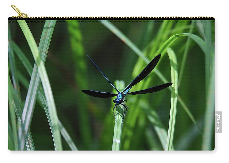 Dragonfly Zip Pouch featuring the photograph Ebony Jewelwing Damselfly #1 by Brook Burling