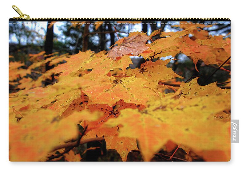 Leaves Zip Pouch featuring the photograph Fall Leaves #1 by George Taylor