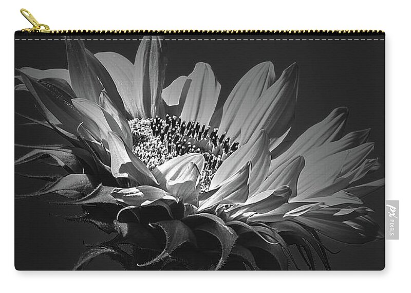 Sunflower Zip Pouch featuring the photograph First Light #1 by Bob Orsillo