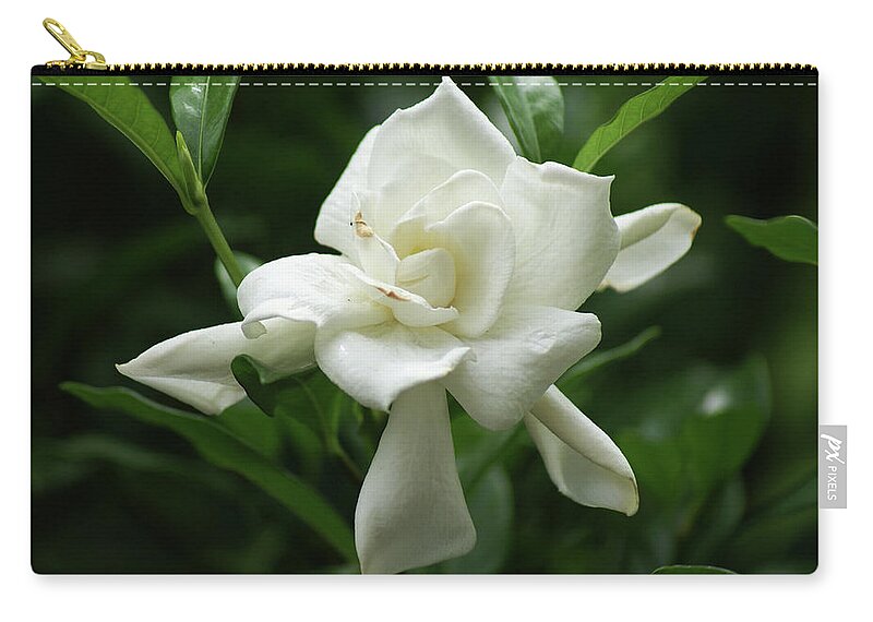  Carry-all Pouch featuring the photograph Gardenia by Heather E Harman