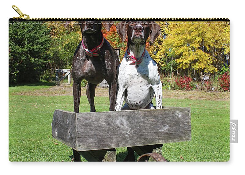 Gsp Zip Pouch featuring the photograph GSP Fall Portrait #1 by Brook Burling