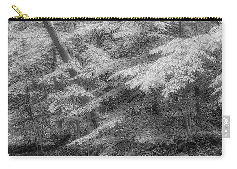 Water Zip Pouch featuring the photograph Hedden County Park NJ BW #1 by Susan Candelario