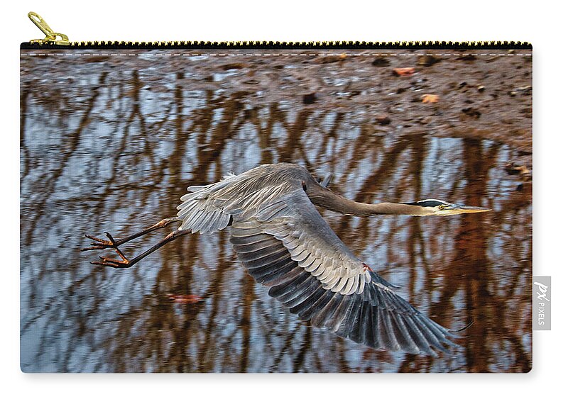 Birds Zip Pouch featuring the photograph Heron in flight #1 by Paul Ross