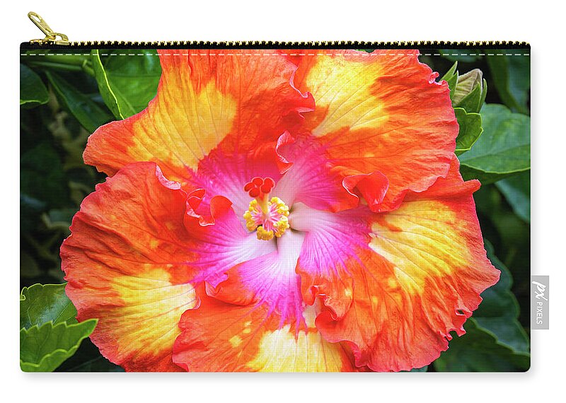 Flowers Zip Pouch featuring the photograph Hibiscus #1 by Jim Thompson