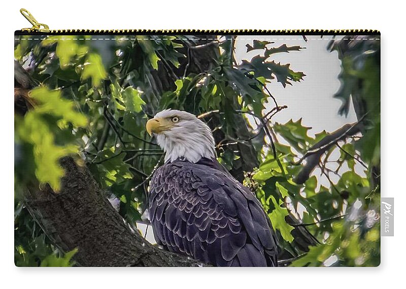 Animal Zip Pouch featuring the photograph Hiding #1 by Brian Shoemaker