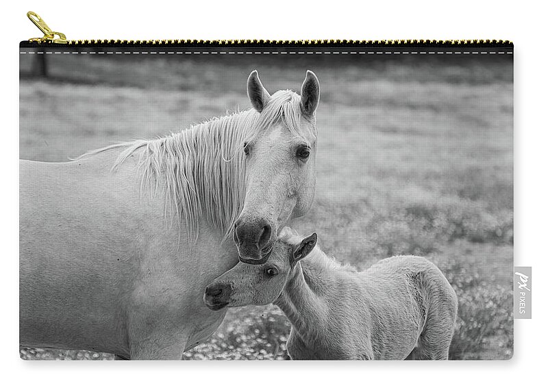 Horse Zip Pouch featuring the photograph Hugging momma #1 by Jamie Tyler