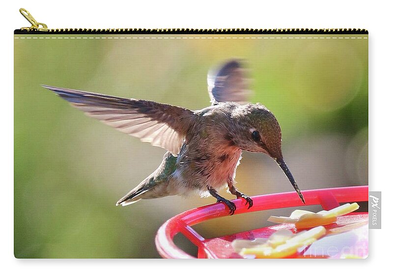 Hummingbird Zip Pouch featuring the photograph Hummingbird Landing #2 by Carol Groenen