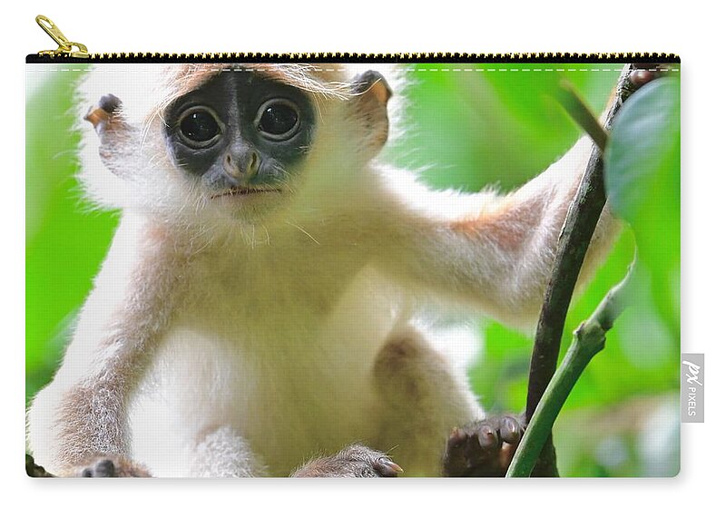 Borneo Zip Pouch featuring the photograph I am cute by Patrick Nowotny