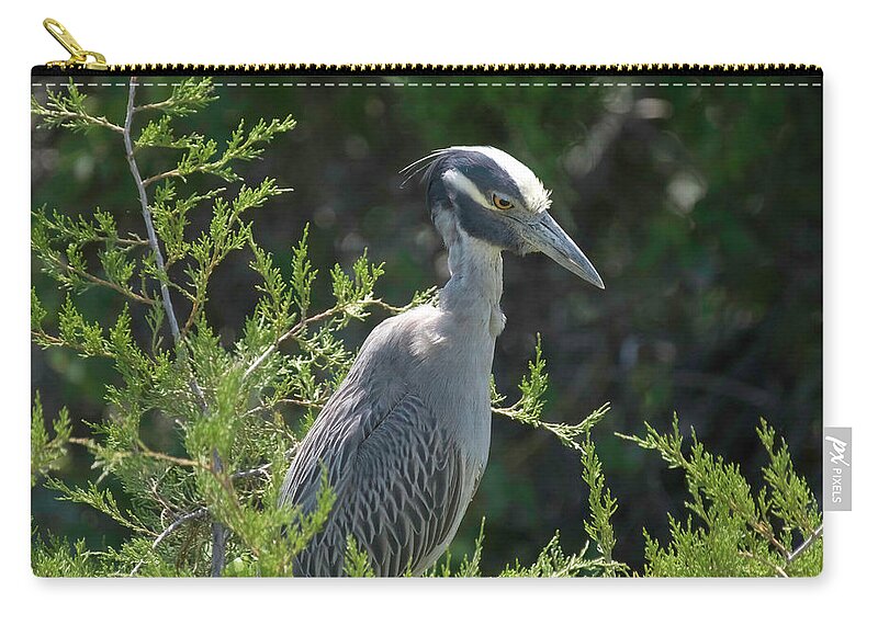 Birds Zip Pouch featuring the photograph I am watching you #1 by Paul Ross