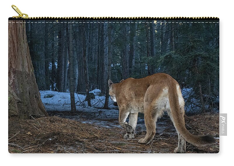 Lion Zip Pouch featuring the photograph Into the Woods 2 by Randy Robbins
