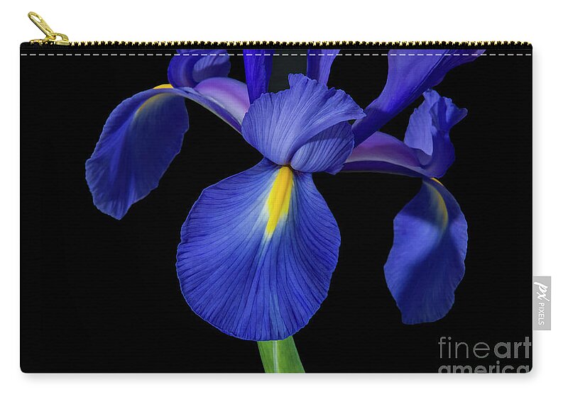 Irises Zip Pouch featuring the photograph Iris, 1 #1 by Glenn Franco Simmons