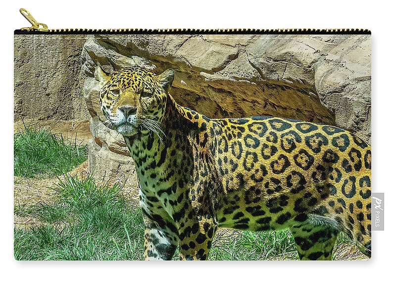 Sedona Zip Pouch featuring the photograph Jaguar #2 by Al Judge