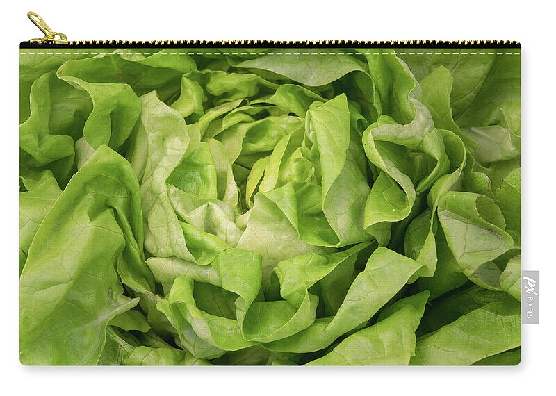 Lettuce Zip Pouch featuring the photograph Lettuce #1 by Fabrizio Troiani