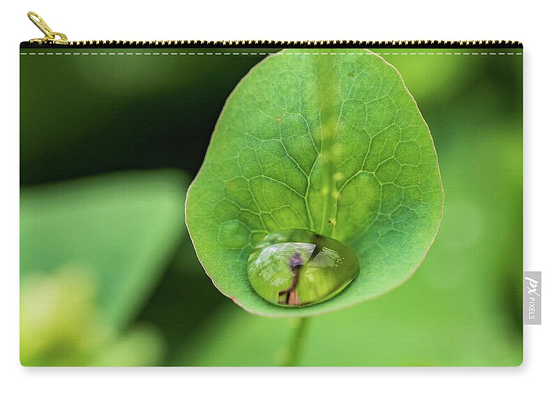 Plants Zip Pouch featuring the photograph Nature Photography - Plants #1 by Amelia Pearn