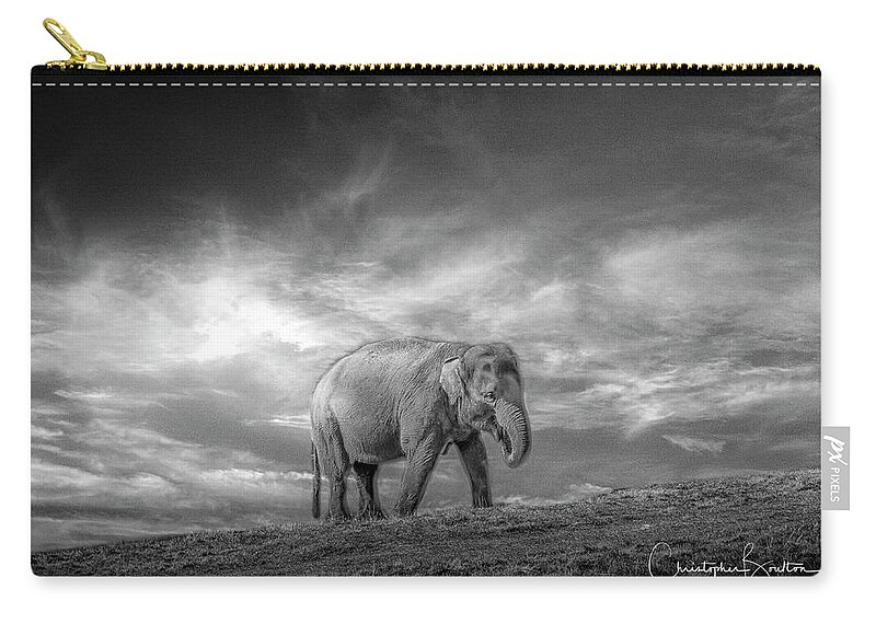 Elephant Zip Pouch featuring the photograph Never Forget #1 by Chris Boulton