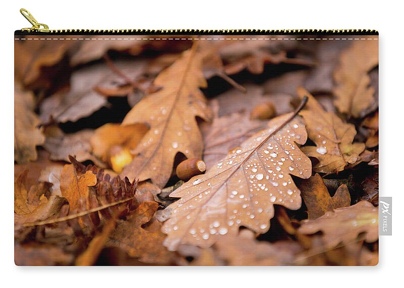 Fall Carry-all Pouch featuring the photograph Oak Leaves and rain drops by Anita Nicholson