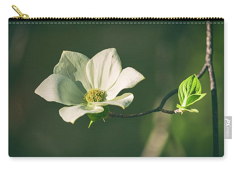 Yosemite National Park Carry-all Pouch featuring the photograph One by Jonathan Nguyen