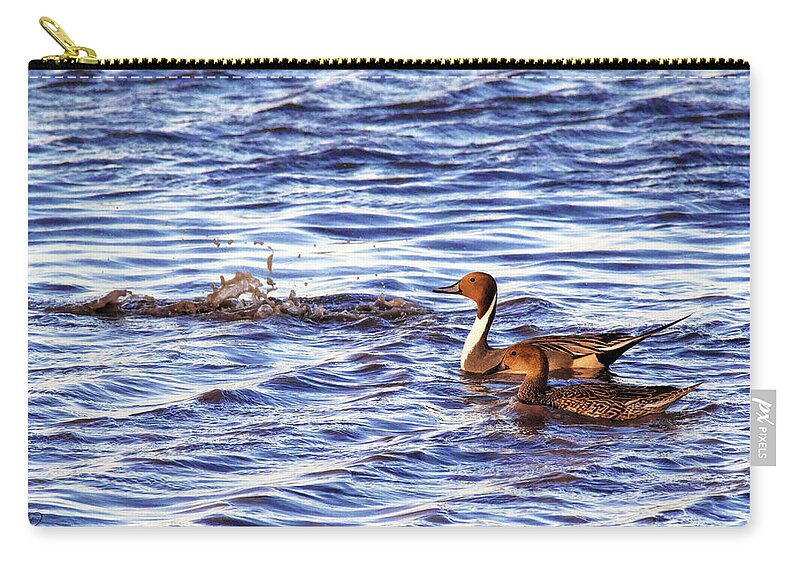 Ducks Unlimited Zip Pouch featuring the photograph Only The Splash Remains #1 by Robert Harris