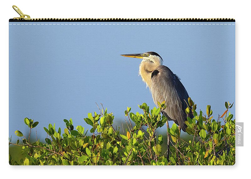 R5-2618 Carry-all Pouch featuring the photograph Perched by Gordon Elwell