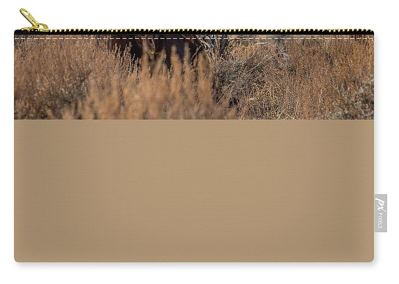  Zip Pouch featuring the photograph Pete #2 by John T Humphrey