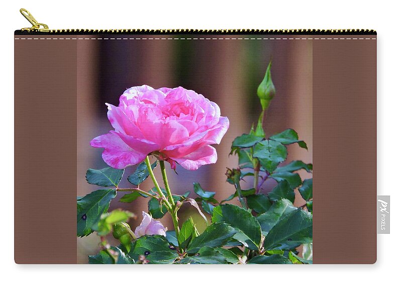 Pink Rose And Bud Zip Pouch featuring the photograph Pink Rose and Bud #1 by Warren Thompson