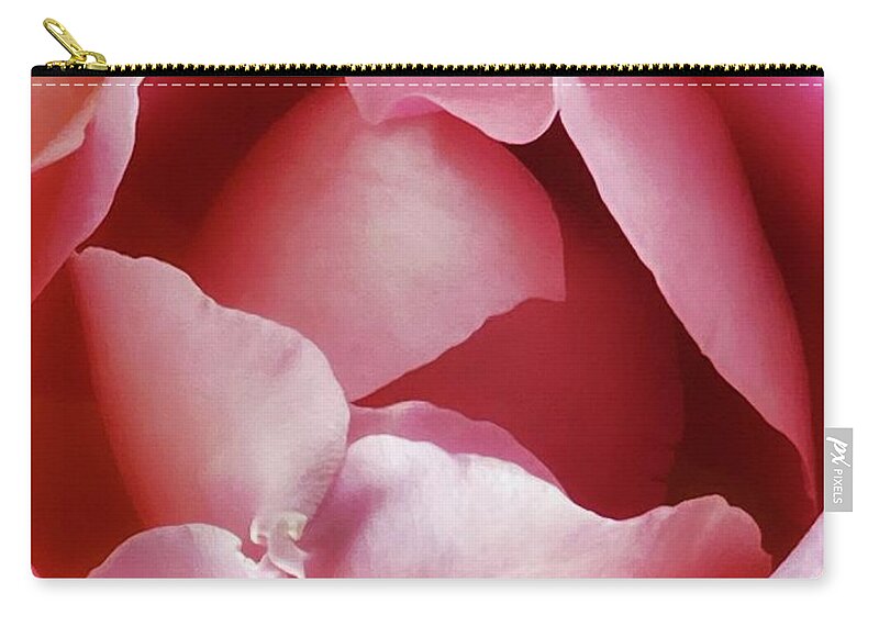 Nursery Zip Pouch featuring the photograph Pink Rose #1 by Steph Gabler