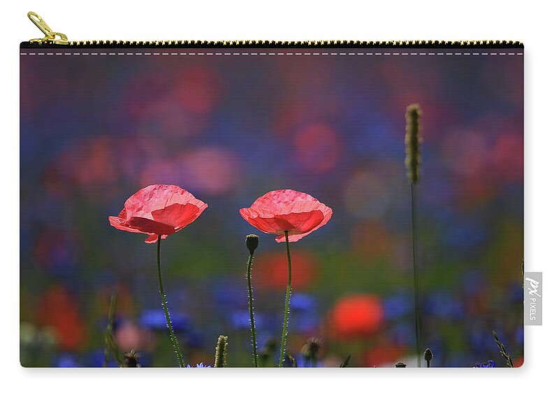 Poppy Flowers Zip Pouch featuring the photograph Poppy Flowers #1 by Shixing Wen
