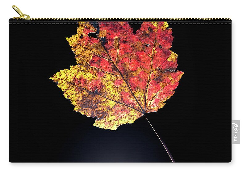 Autumn Zip Pouch featuring the photograph Preserving Autumn #1 by Kevin Suttlehan