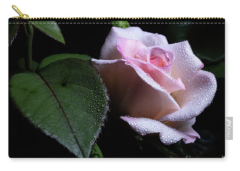 Rose Zip Pouch featuring the photograph Propinquity #1 by Doug Norkum