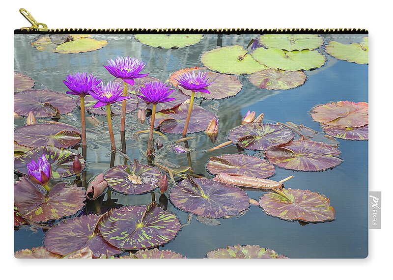 Lily Zip Pouch featuring the photograph Purple Water Lilies and Pads #1 by Cate Franklyn