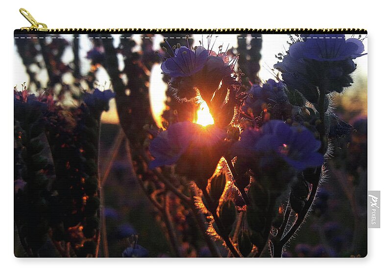 Scorpion Weed Zip Pouch featuring the photograph Scorpion Weed Sunset #1 by Gene Taylor