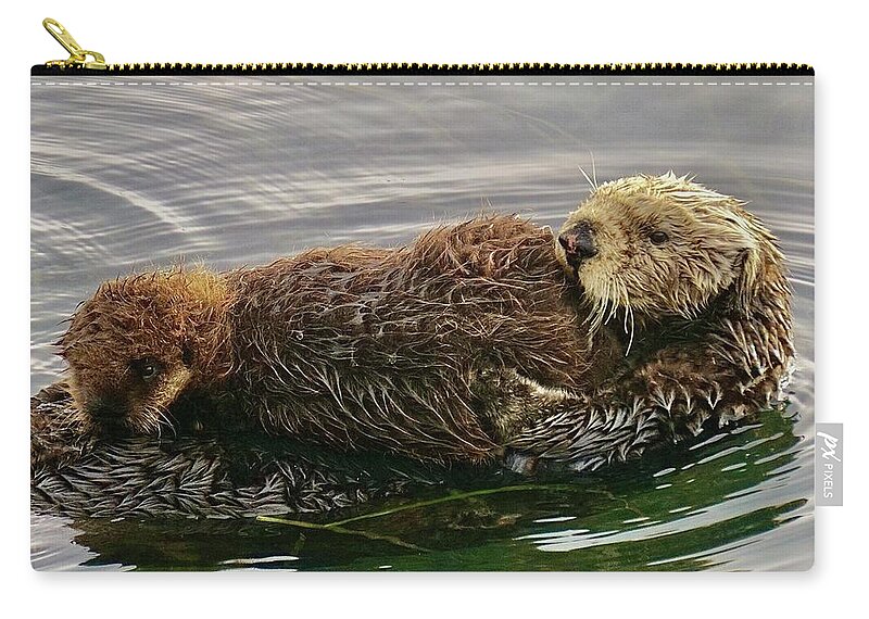 Sea Otter Zip Pouch featuring the photograph Nursing Sea Otter Pup by Brett Harvey