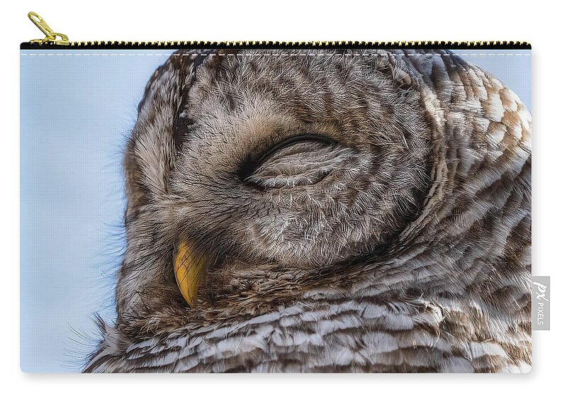 Owl Zip Pouch featuring the photograph Sleepy Time #1 by Brad Bellisle