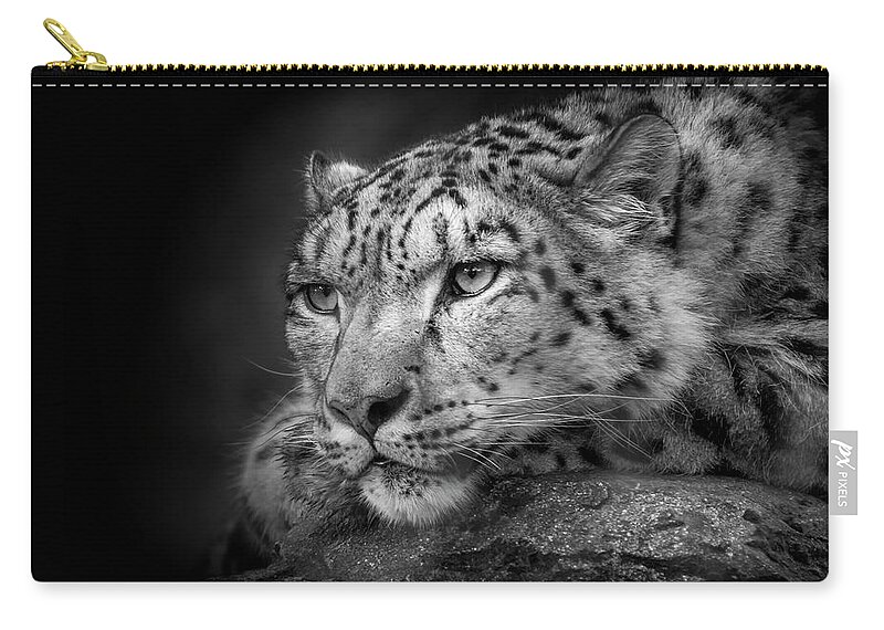 Snow Zip Pouch featuring the photograph Snow Leopard #1 by Chris Boulton