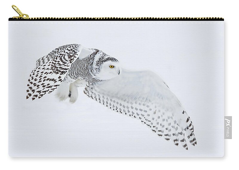 Owls Zip Pouch featuring the photograph Snowy Owl In Flight #1 by CR Courson
