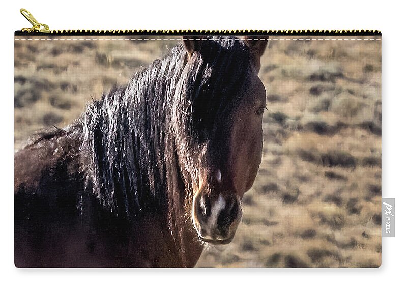 Horse Zip Pouch featuring the photograph Stallion #1 by Laura Terriere