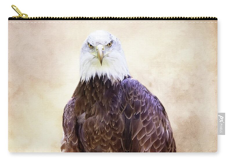 Bald Eagle Zip Pouch featuring the photograph Stare Down #1 by Ed Taylor