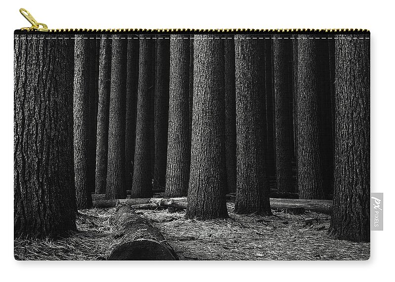 Landscape Carry-all Pouch featuring the photograph Sugar Pines by Grant Galbraith