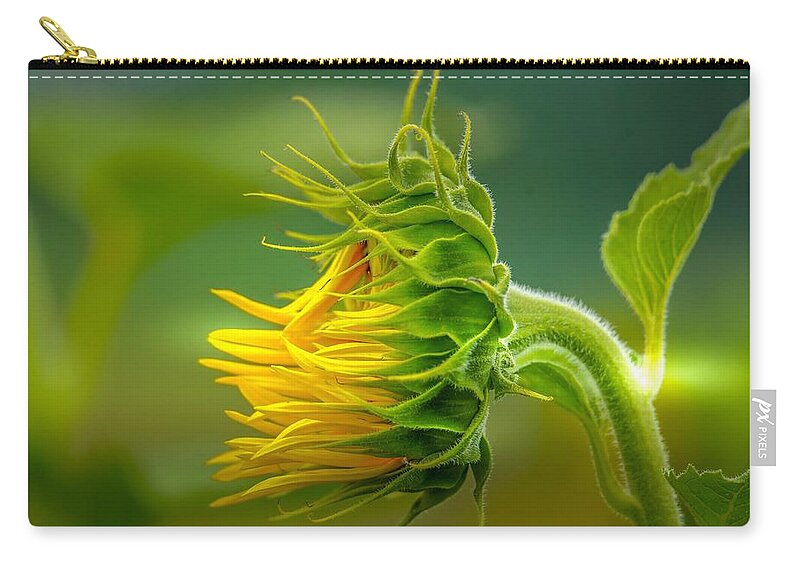 Flower Zip Pouch featuring the photograph Sunflower in the Light by Susan Rydberg