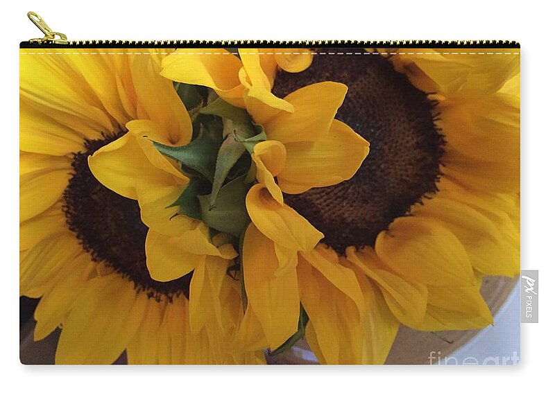 Sunny Zip Pouch featuring the photograph Sunflower Series 1-1 #1 by J Doyne Miller