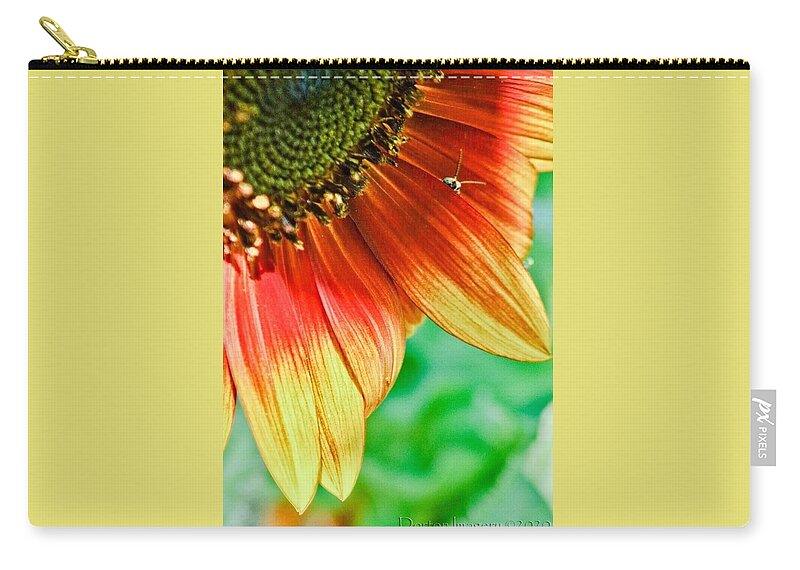  Zip Pouch featuring the photograph Sunflower #1 by Stephen Dorton