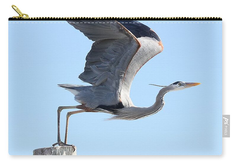 Great Blue Heron Carry-all Pouch featuring the photograph Taking Off by Mingming Jiang