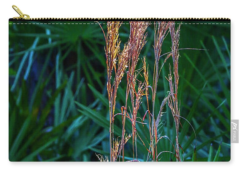 Grass Zip Pouch featuring the photograph Tall Grass in Sunlight #1 by Tom Claud