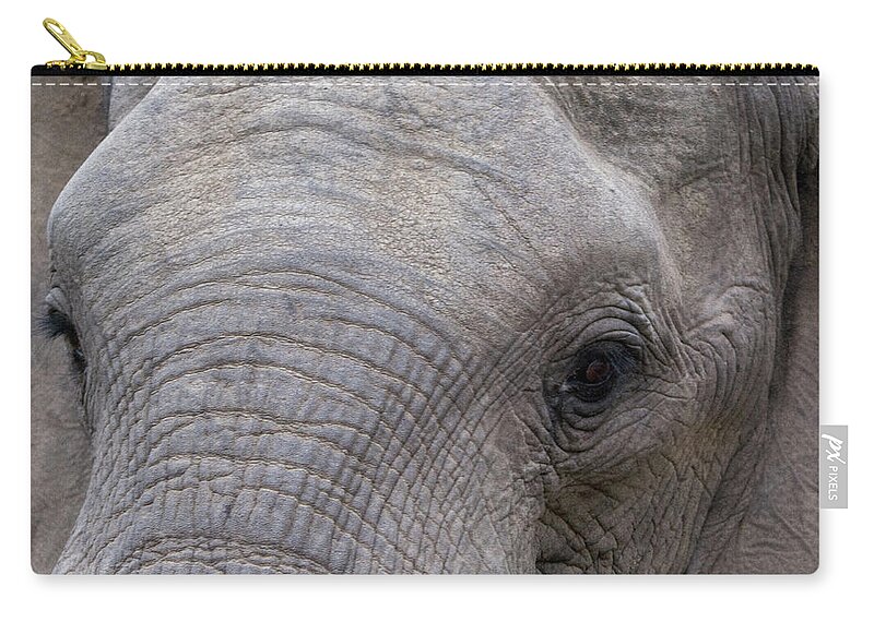 Elephant Zip Pouch featuring the photograph The Gaze #1 by Mark Hunter