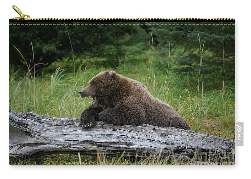 Alaska Zip Pouch featuring the photograph Time to Wake Up #1 by Patrick Nowotny