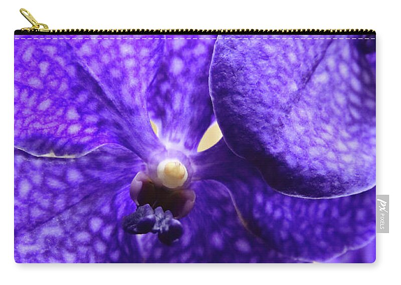 China Zip Pouch featuring the photograph Vanda Orchid Portrait II by Tanya Owens